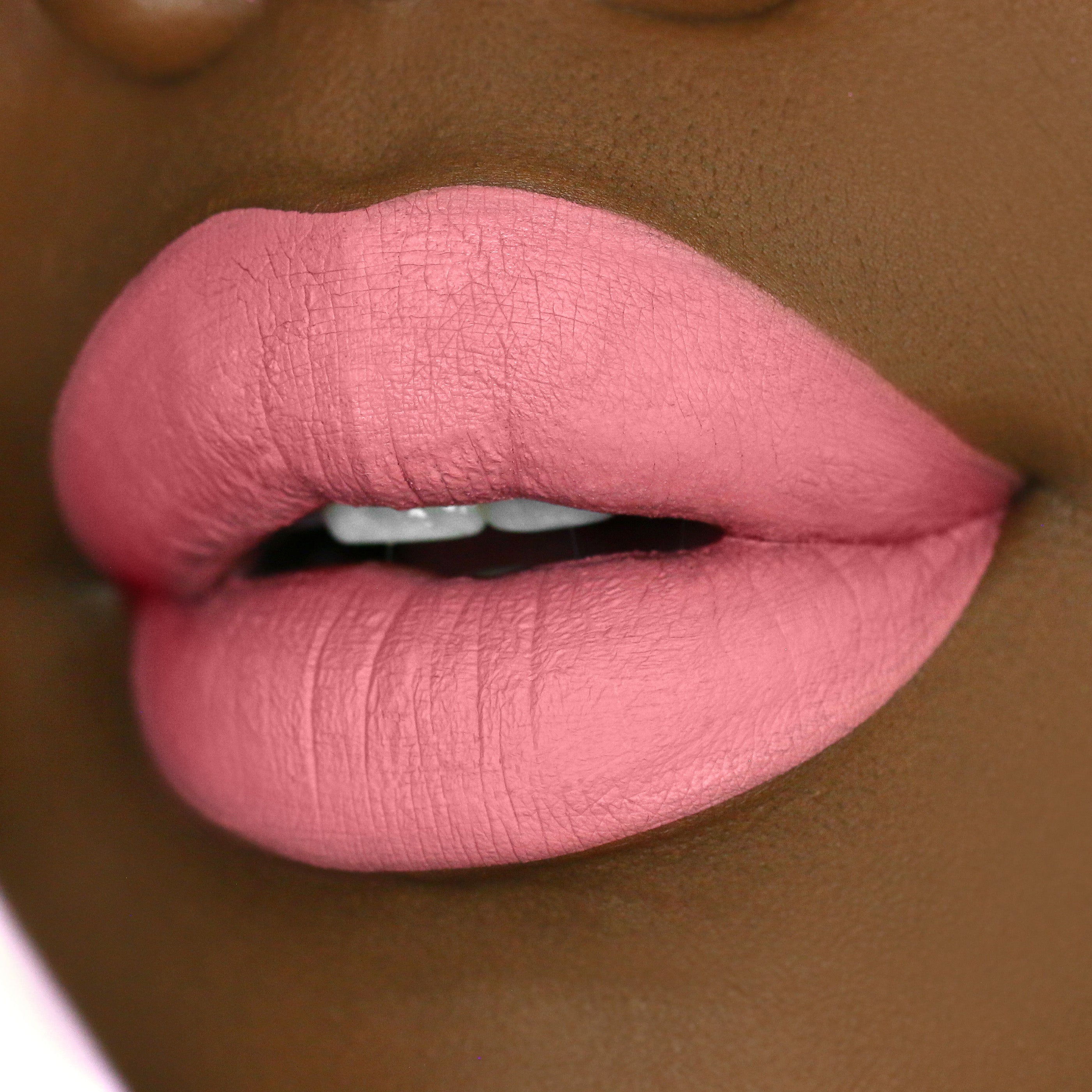 Bubblegum Crisis Matte Lip Whip